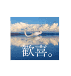 我輩はウーパールーパー。（個別スタンプ：12）
