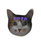 ちびちゃんの気まぐれスタンプ（個別スタンプ：7）