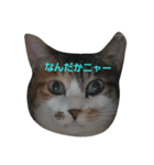 ちびちゃんの気まぐれスタンプ（個別スタンプ：8）