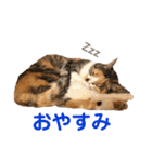 芸のないチョコ（個別スタンプ：4）