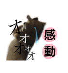ゴールデンレトリーバーレオンくん第2弾（個別スタンプ：20）