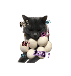 灰猫みりん3（個別スタンプ：12）