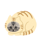 とみ ちゃん（個別スタンプ：5）