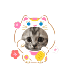とみ ちゃん（個別スタンプ：10）