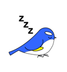 ルリビタキちゃん（個別スタンプ：4）