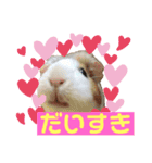 モルモットもんちゃんの生活（個別スタンプ：2）