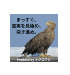 野鳥 オリジナル フォトスタンプ 第一弾（個別スタンプ：7）
