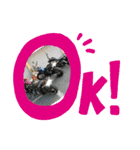 バイク仲間たちVol.1（個別スタンプ：5）