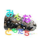 バイク仲間たちVol.1（個別スタンプ：11）