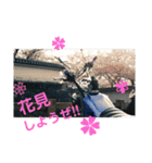 バイク仲間たちVol.1（個別スタンプ：13）