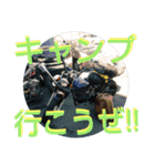 バイク仲間たちVol.1（個別スタンプ：14）