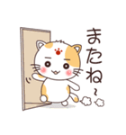 毎日使える！眉毛の茶々丸の天然日常 猫（個別スタンプ：26）