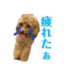 我が家のわんころ2（個別スタンプ：20）