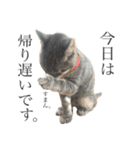 ぐりぐらといっしょ（個別スタンプ：2）