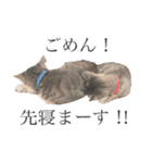 ぐりぐらといっしょ（個別スタンプ：10）