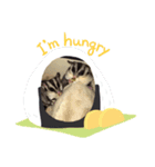 フクモモさん家の日常（個別スタンプ：7）