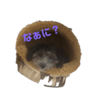 ピノりん（個別スタンプ：2）