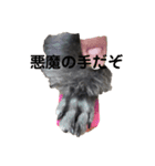 ピノりん（個別スタンプ：3）
