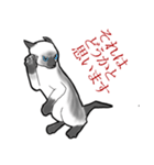 いらすとにゃーもんず（個別スタンプ：7）