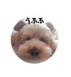 いぶるう2（個別スタンプ：14）
