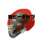 ジャンガリアンのトットとピーナッツ第一弾（個別スタンプ：21）