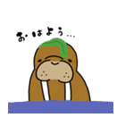 セイウチさん（個別スタンプ：1）