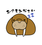 セイウチさん（個別スタンプ：2）