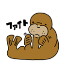 セイウチさん（個別スタンプ：4）