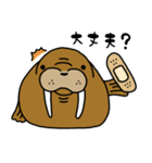 セイウチさん（個別スタンプ：7）