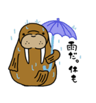 セイウチさん（個別スタンプ：11）