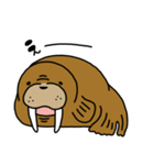 セイウチさん（個別スタンプ：16）