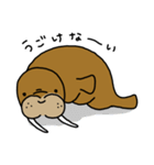 セイウチさん（個別スタンプ：22）