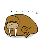 セイウチさん（個別スタンプ：36）