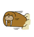 セイウチさん（個別スタンプ：37）