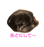 ウーロン君②（個別スタンプ：2）