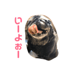 ウーロン君②（個別スタンプ：8）