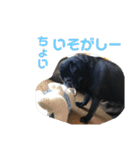 ウーロン君②（個別スタンプ：9）