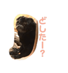 ウーロン君②（個別スタンプ：16）