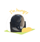 ウーロン君②（個別スタンプ：24）