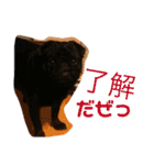 ウーロン君②（個別スタンプ：40）