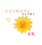 花言葉で日常会話2（個別スタンプ：5）