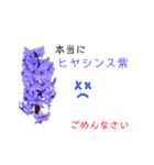 花言葉で日常会話2（個別スタンプ：7）