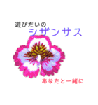 花言葉で日常会話2（個別スタンプ：9）