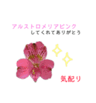 花言葉で日常会話2（個別スタンプ：11）