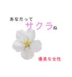 花言葉で日常会話2（個別スタンプ：13）