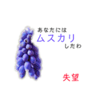 花言葉で日常会話2（個別スタンプ：16）