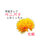花言葉で日常会話2（個別スタンプ：17）