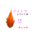 花言葉で日常会話2（個別スタンプ：18）