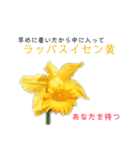 花言葉で日常会話2（個別スタンプ：20）