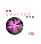 花言葉で日常会話2（個別スタンプ：21）